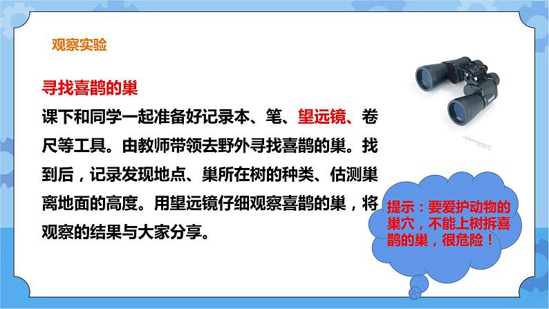 三年级科学下册课件  11.喜鹊筑巢   冀人版第6页