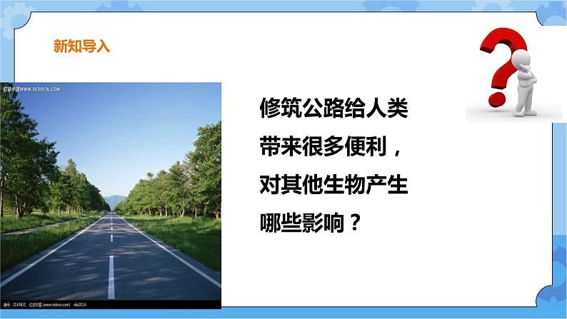 三年级下册科学课件  13.筑路影响生物生存  冀人版第3页