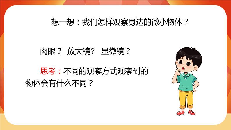 第一单元 《微小世界》 第3课时 观察身边微小的物体 课件+视频素材04