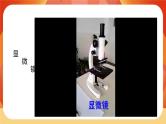第一单元 《微小世界》 第3课时 观察身边微小的物体 课件+视频素材