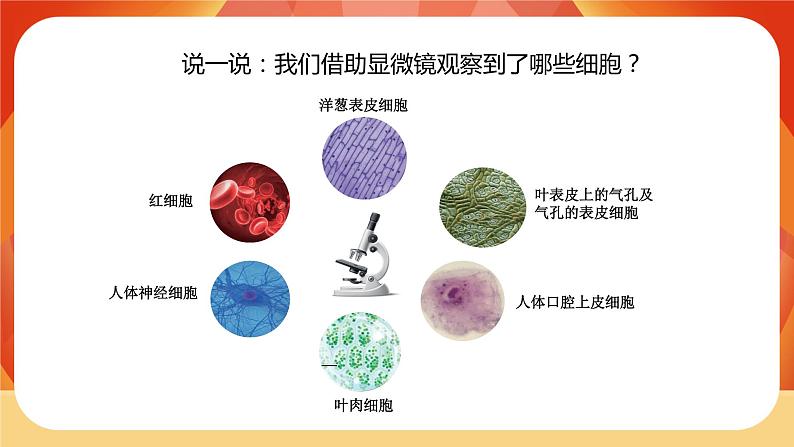 第6课时  观察水中微小的生物第2页