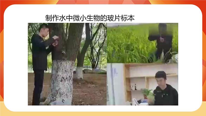 第6课时  观察水中微小的生物第4页