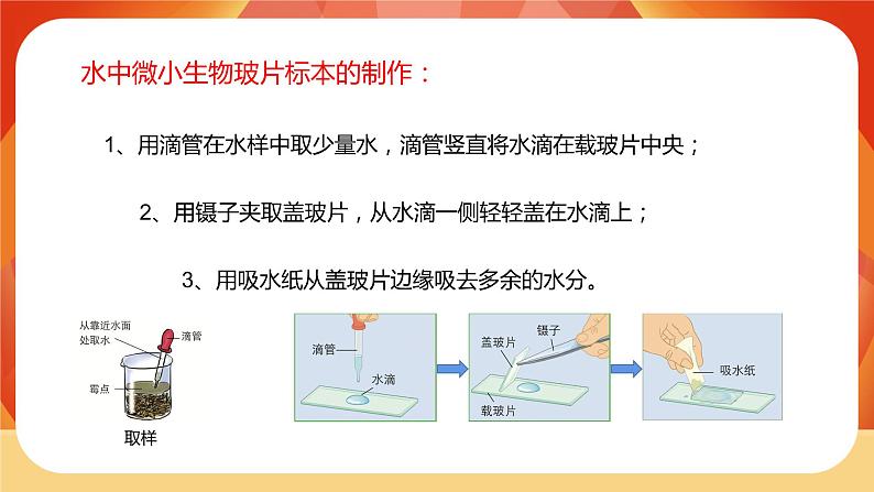 第6课时  观察水中微小的生物第5页
