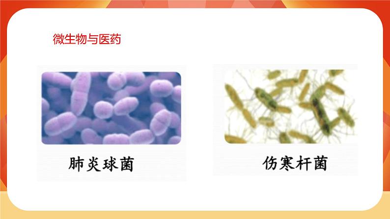 第7课时  微生物与健康第7页