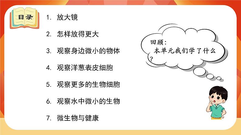 教科版科学六年级上册 第一单元  《微小世界》单元复习 课件02