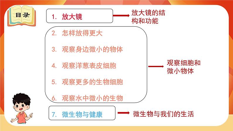 教科版科学六年级上册 第一单元  《微小世界》单元复习 课件03