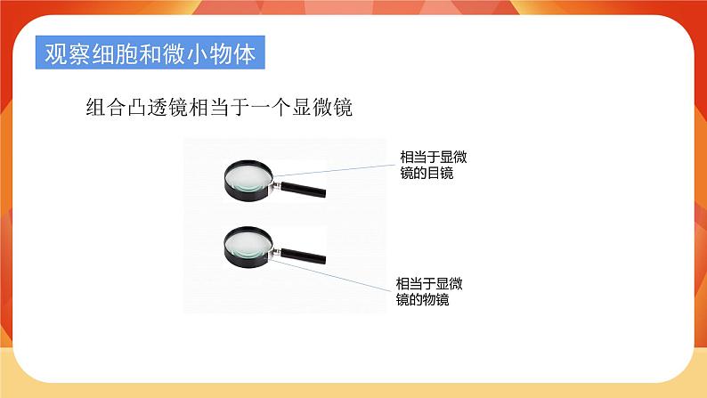 教科版科学六年级上册 第一单元  《微小世界》单元复习 课件06