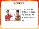 第一單元 聲音 第4課時 我們是怎樣聽到聲音的 課件