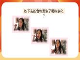 第二单元 呼吸与消化 第7课时 食物在口腔里的变化 课件