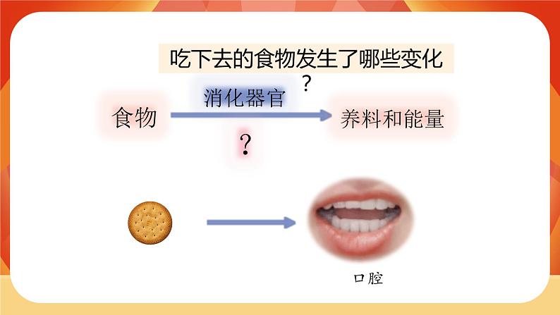 第二单元 呼吸与消化 第7课时 食物在口腔里的变化 课件04