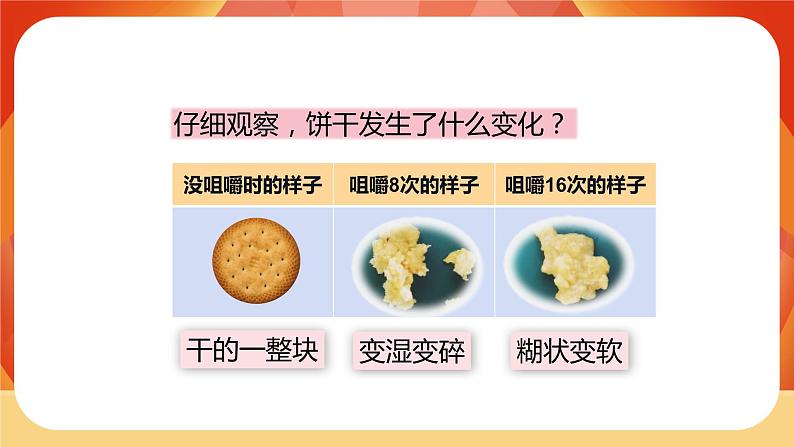 第二单元 呼吸与消化 第7课时 食物在口腔里的变化 课件07