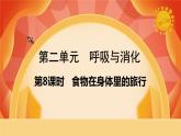 第二單元 呼吸與消化 第8課時(shí) 食物在身體里的旅行 課件