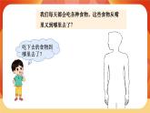 第二單元 呼吸與消化 第8課時(shí) 食物在身體里的旅行 課件