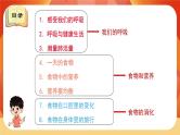 第二单元 《呼吸与消化》 单元复习 课件