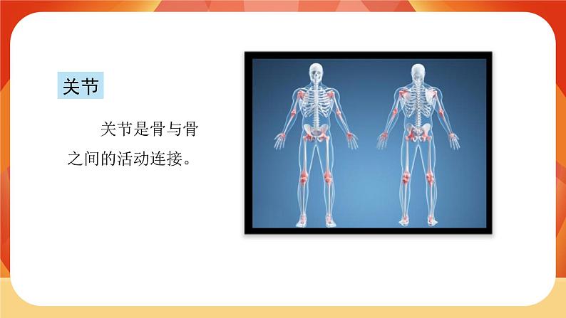 第2课时  身体的运动第6页