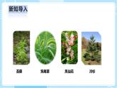 【人教鄂教版】六上科学  2.4《植物的简单分类》（课件+教案+练习+素材）