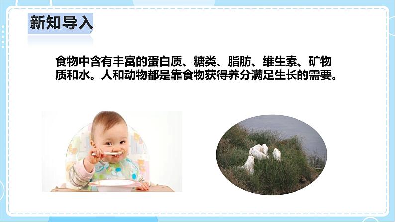 【人教鄂教版】六上科学  2.5《植物的光合作用》（课件+教案+练习+素材）04