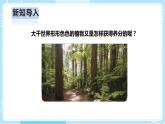 【人教鄂教版】六上科学  2.5《植物的光合作用》（课件+教案+练习+素材）