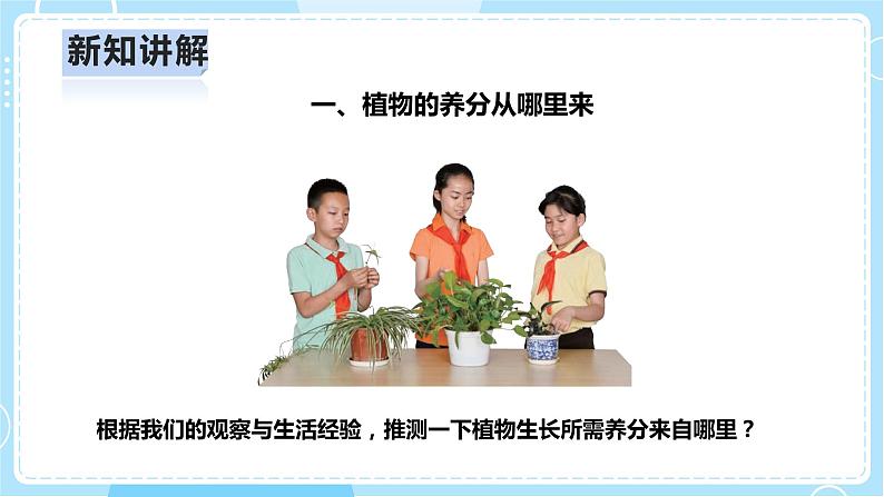 【人教鄂教版】六上科学  2.5《植物的光合作用》（课件+教案+练习+素材）06