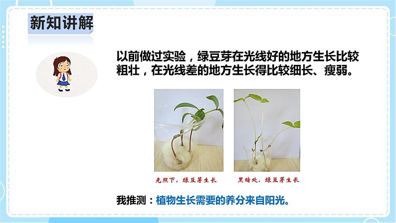 【人教鄂教版】六上科学  2.5《植物的光合作用》（课件+教案+练习+素材）07