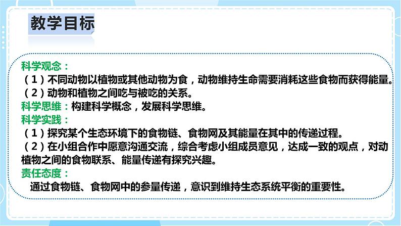 【人教鄂教版】六上科学  2.6《食物链》（课件+教案+练习）02
