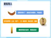 【人教鄂教版】六上科学  1.1《生锈与防锈》（课件+教案+练习+素材）
