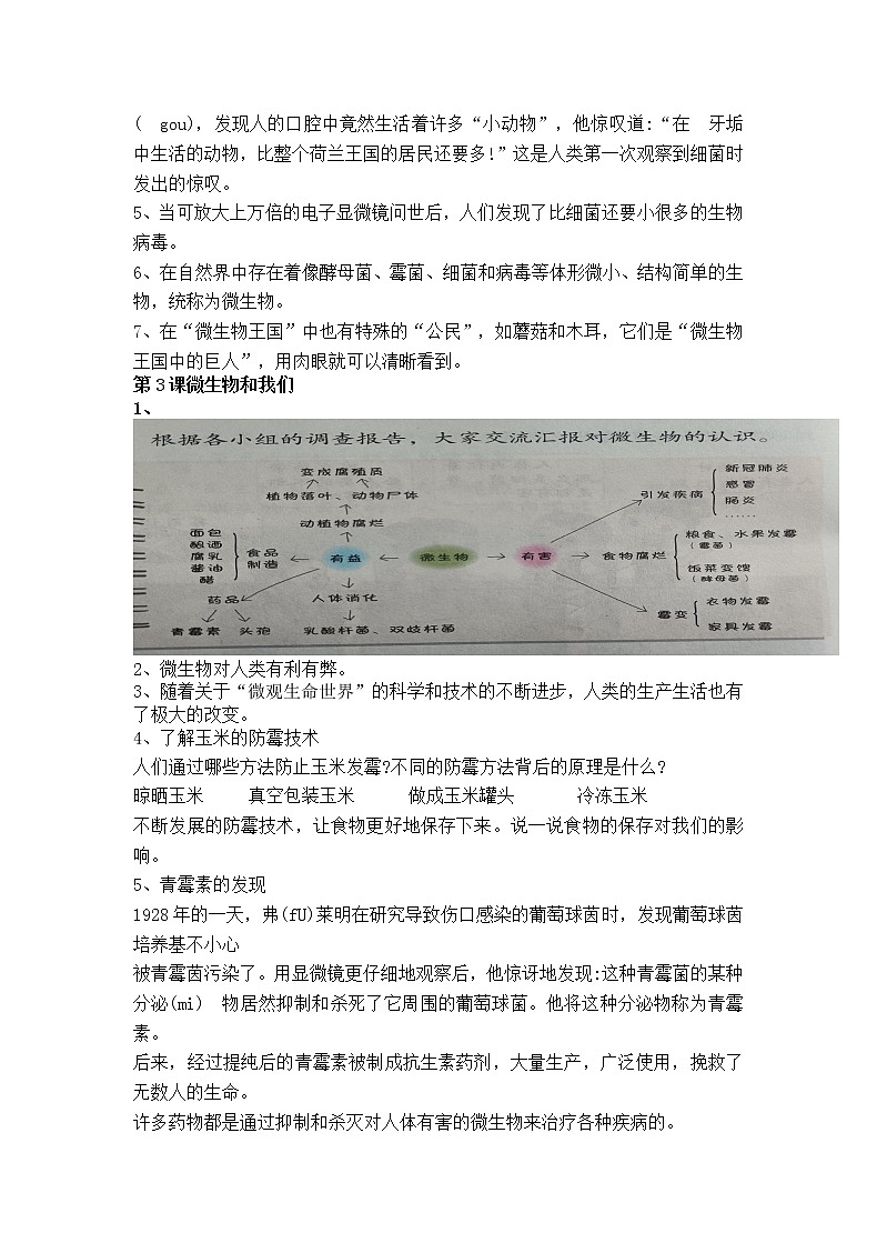 湘科版科学五年级下学期第二单元 微生物 知识点梳理02