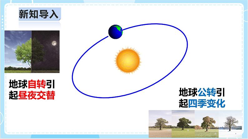 【教科版】六上科学 2.7 《昼夜和四季变化对生物的影响》（课件+素材）03