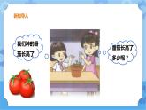 三年级下册科学课件+练习-第一单元第3课时《探究技能：长度的测量》粤教版