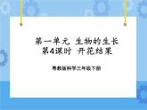 三年级下册科学课件+练习-第一单元第4课时《开花结果》 粤教版
