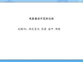 三年级下册科学课件+练习-第一单元第4课时《开花结果》 粤教版