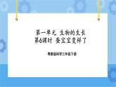 三年级下册科学课件+练习-第一单元第6课时《蚕宝宝变样了》 粤教版