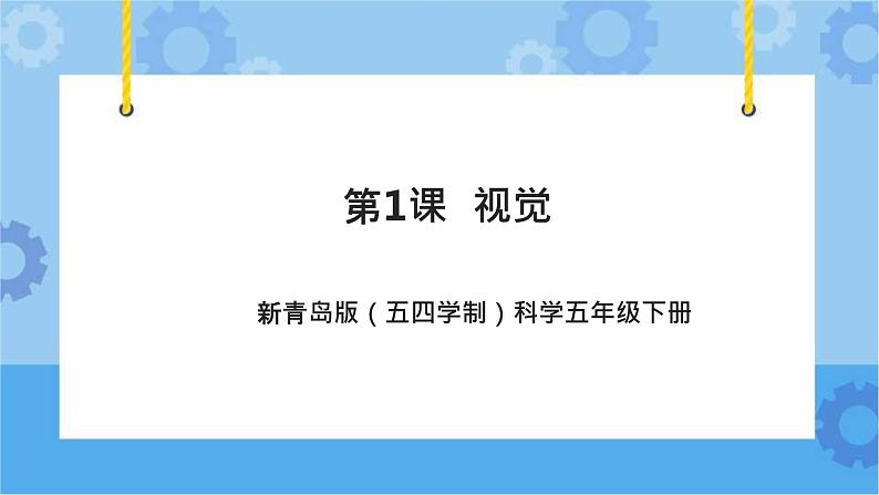 新青岛版（五四学制）科学五年级下册课件（含素材）第1课 视觉.101
