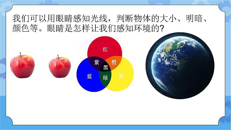 新青岛版（五四学制）科学五年级下册课件（含素材）第1课 视觉.102