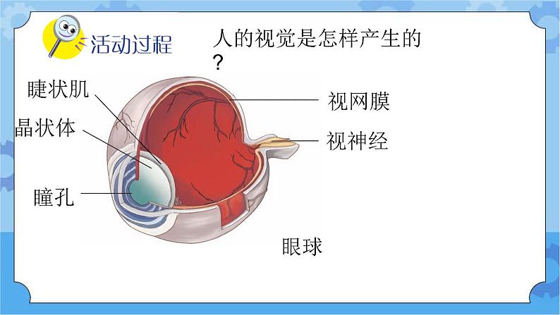 新青岛版（五四学制）科学五年级下册课件（含素材）第1课 视觉.103