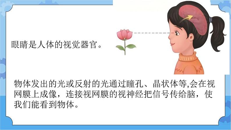 新青岛版（五四学制）科学五年级下册课件（含素材）第1课 视觉.105