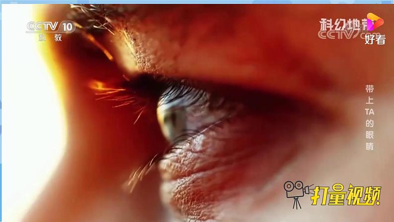 新青岛版（五四学制）科学五年级下册课件（含素材）第1课 视觉.106