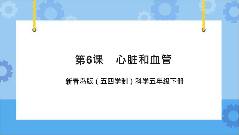 新青岛版（五四学制）科学五年级下册课件（含素材）第6课心脏和血管01