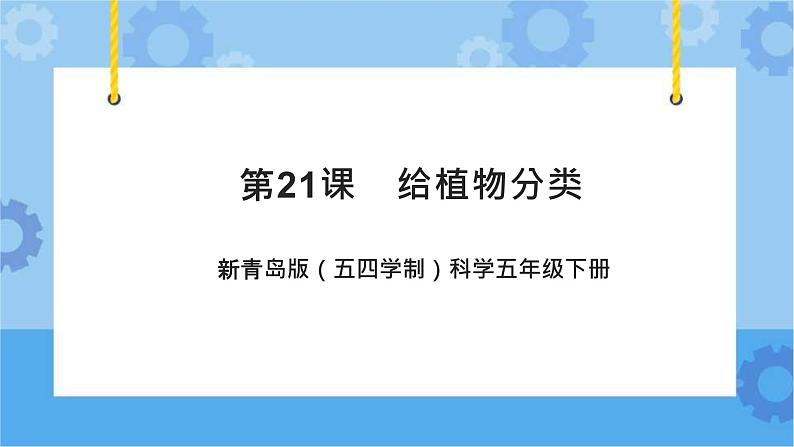 新青岛版（五四学制）科学五年级下册课件（含素材）第21课 给植物分类01