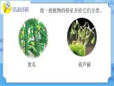 新青岛版（五四学制）科学五年级下册课件（含素材）第21课 给植物分类