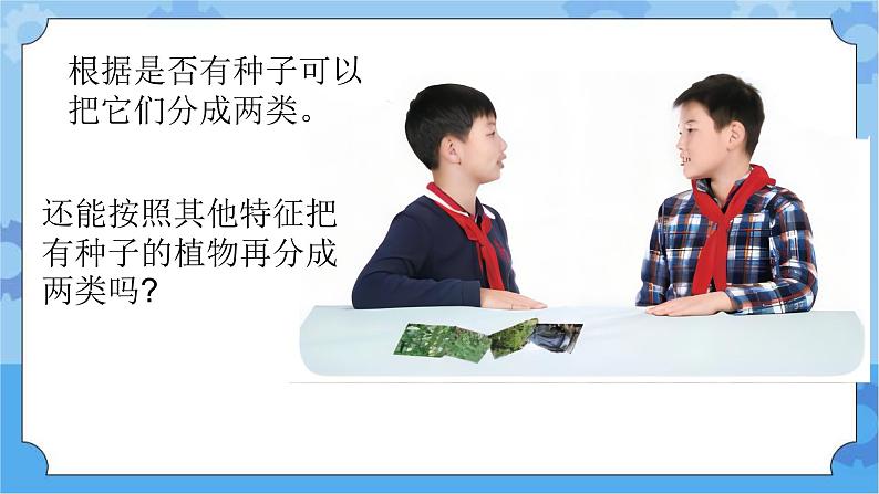 新青岛版（五四学制）科学五年级下册课件（含素材）第21课 给植物分类06