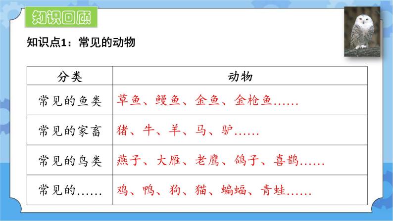 一年级下册科学课件- 第三单元 形形色色的动物 复习课件 湘科版（2017）03