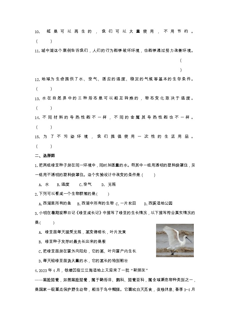 2022-2023学年五年级下学期科学期末检测试卷教科版试卷二02