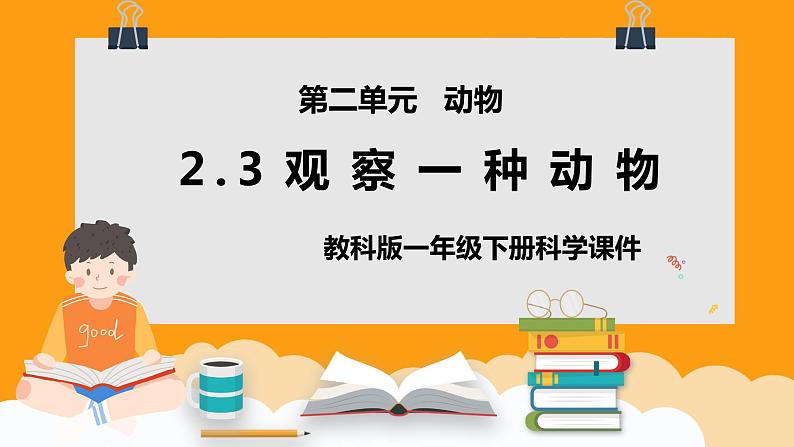 教科版一年级下册科学课件（观察一种动物）01