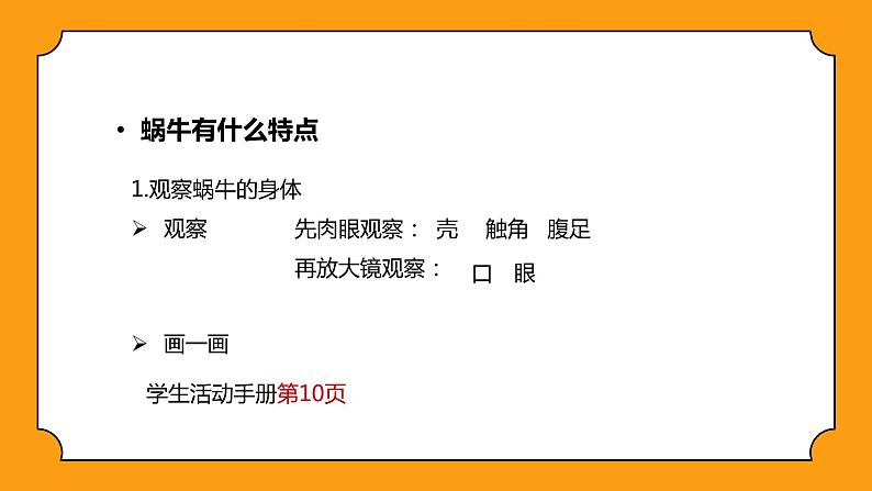 教科版一年级下册科学课件（观察一种动物）04