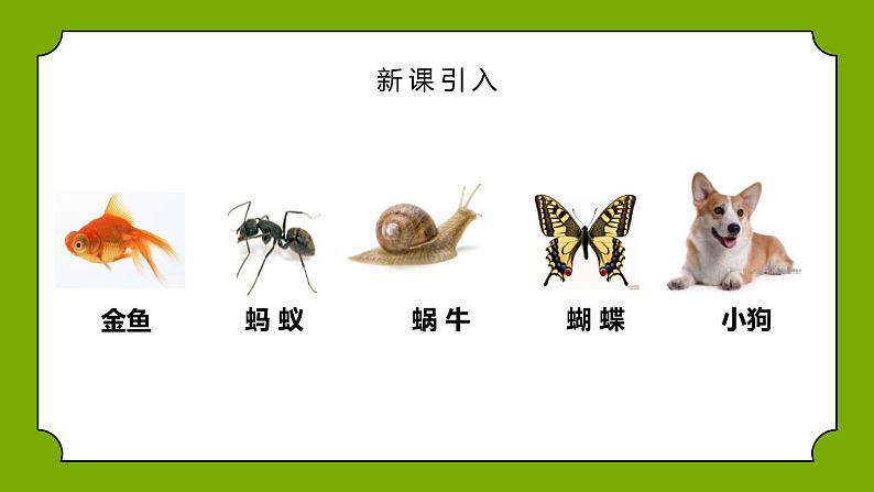 教科版一年级下册科学课件（我们知道的动物）第4页