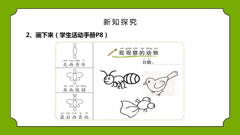 教科版一年级下册科学课件（我们知道的动物）第7页