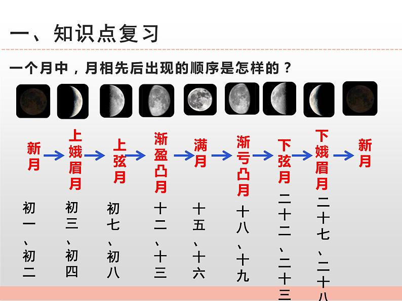 苏教版小学科学四年级下册第二单元【地球月球与太阳】复习课件08