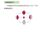 大象版科学五年级下册3.5 四季的成因 课件