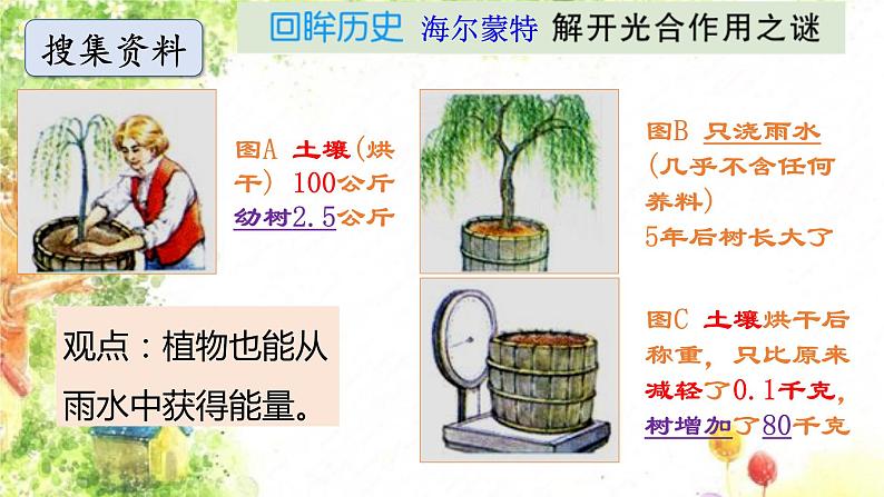 大象版科学五年级下册4.3《植物的食物》 课件05